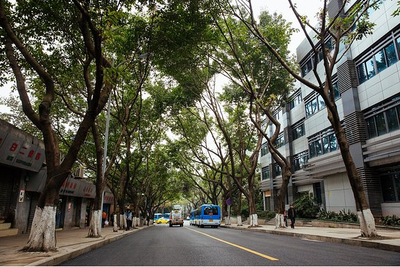 重庆今年计划开展一万个以上公共停车泊位